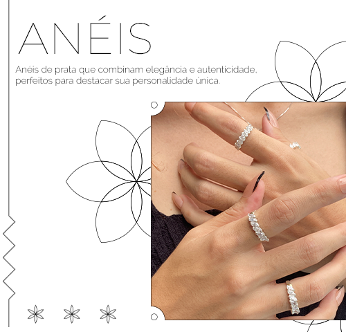 anis2
